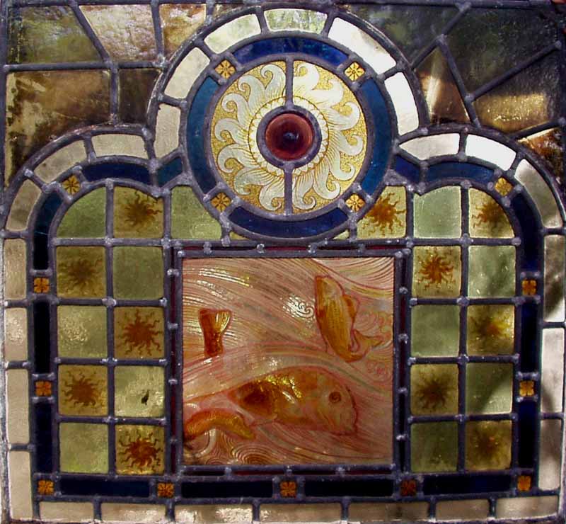 fishtop1