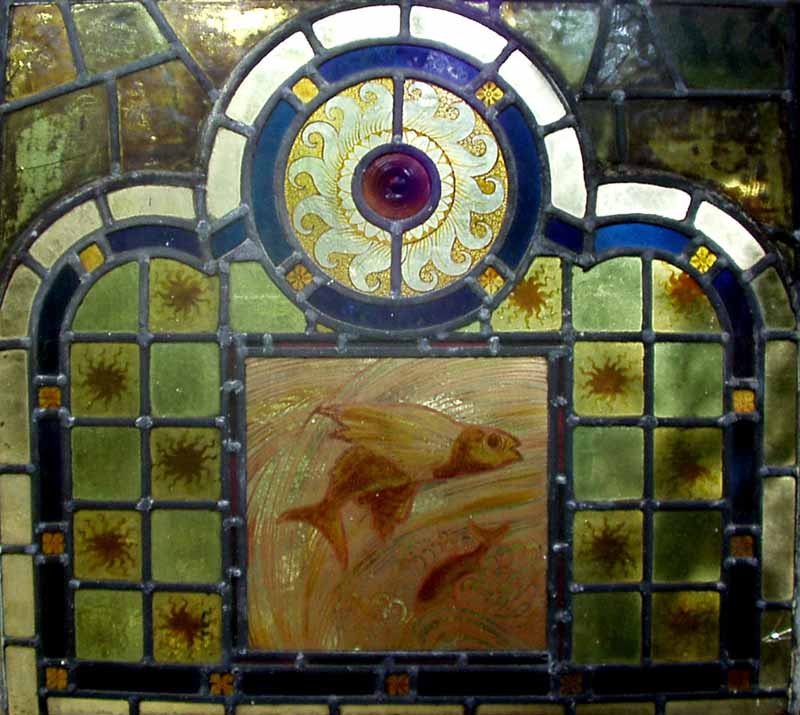 fishtop2