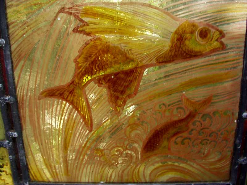 fishtop2ecu