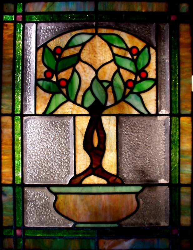 tiftree1